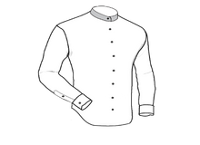 Load image into Gallery viewer, Tailored Shirt